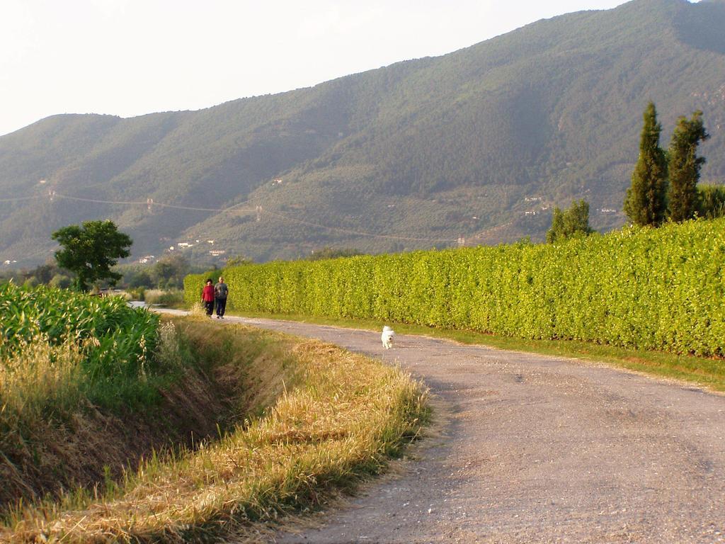 Villa Agriturismo La Pisana Natur foto